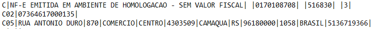 exemplo de txt para configurar os dados da empresa na impressão da NFCe